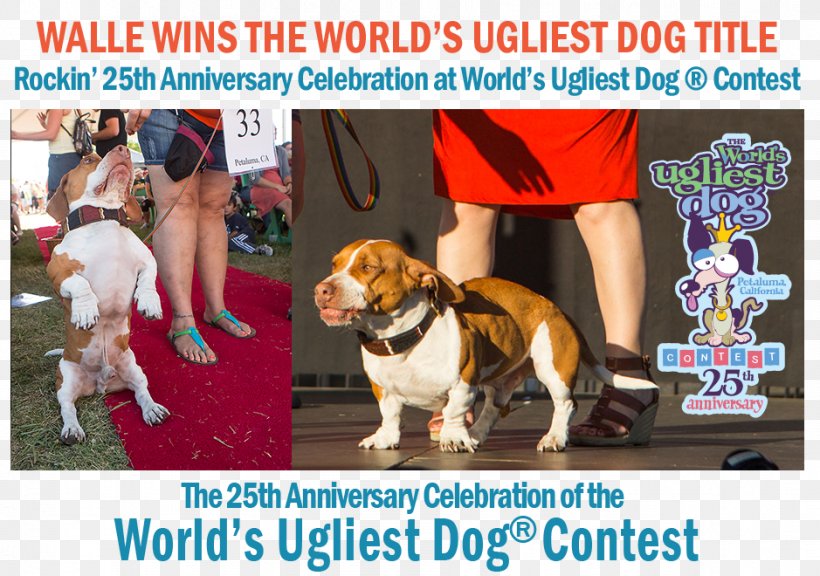 Dog Breed Advertising, PNG, 939x660px, Dog Breed, Advertising, Breed, Carnivoran, Dog Download Free
