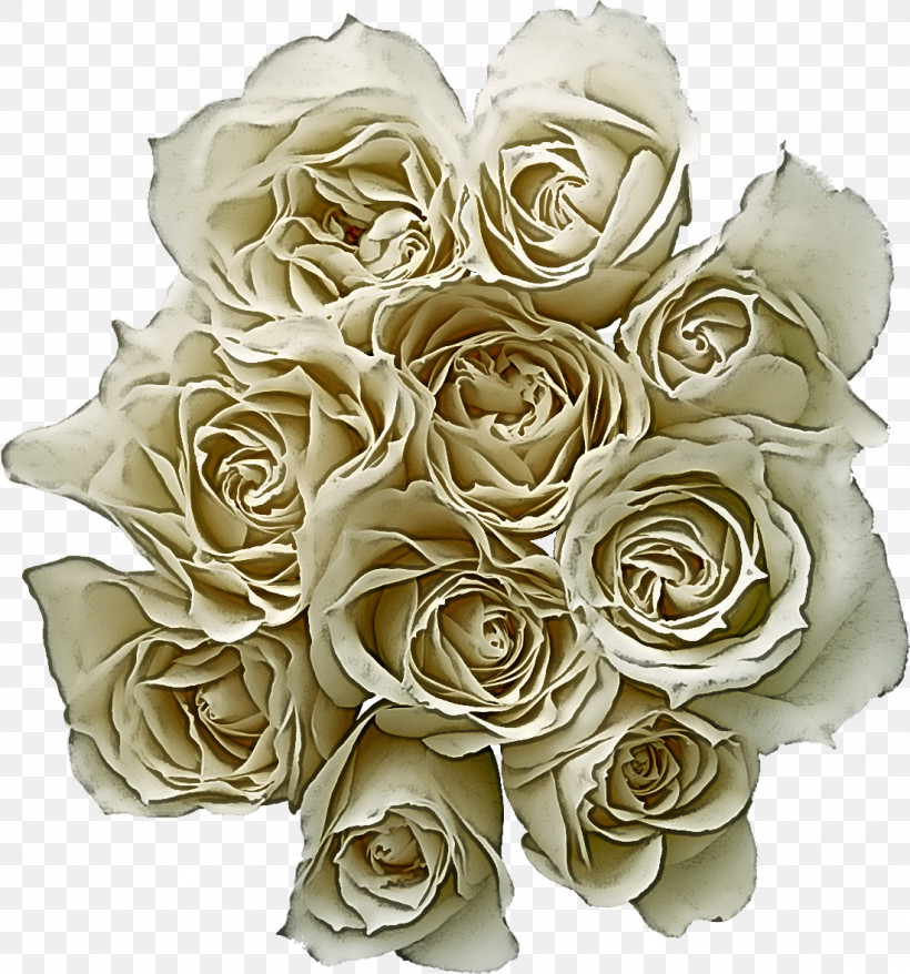 Garden Roses, PNG, 1100x1179px, Garden Roses, Cabbage Rose, Cut Flowers, Floral Design, Floribunda Download Free