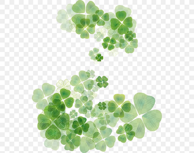 Four-leaf Clover Saint Patrick's Day Shamrock Clip Art, PNG, 550x648px, Clover, Fourleaf Clover, Grass, Green, Irish People Download Free
