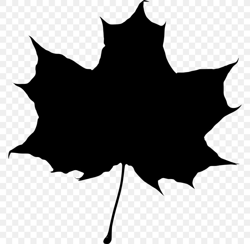 Maple Leaf, PNG, 766x800px, Leaf, Black, Blackandwhite, Holly, Maple Leaf Download Free