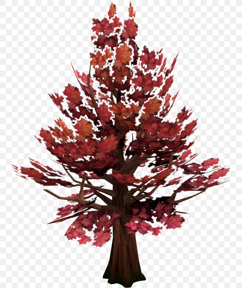 Old School RuneScape Tree Woody Plant Red Maple, PNG, 748x978px, Runescape, Branch, English Yew, Forest, Japanese Maple Download Free