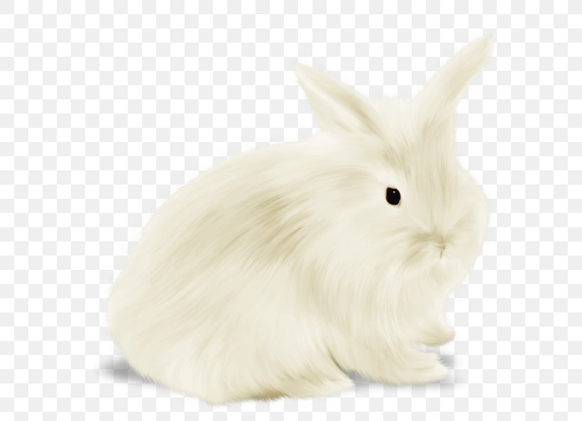 Domestic Rabbit Hare Fur Snout, PNG, 600x593px, Domestic Rabbit, Fur, Hare, Mammal, Rabbit Download Free