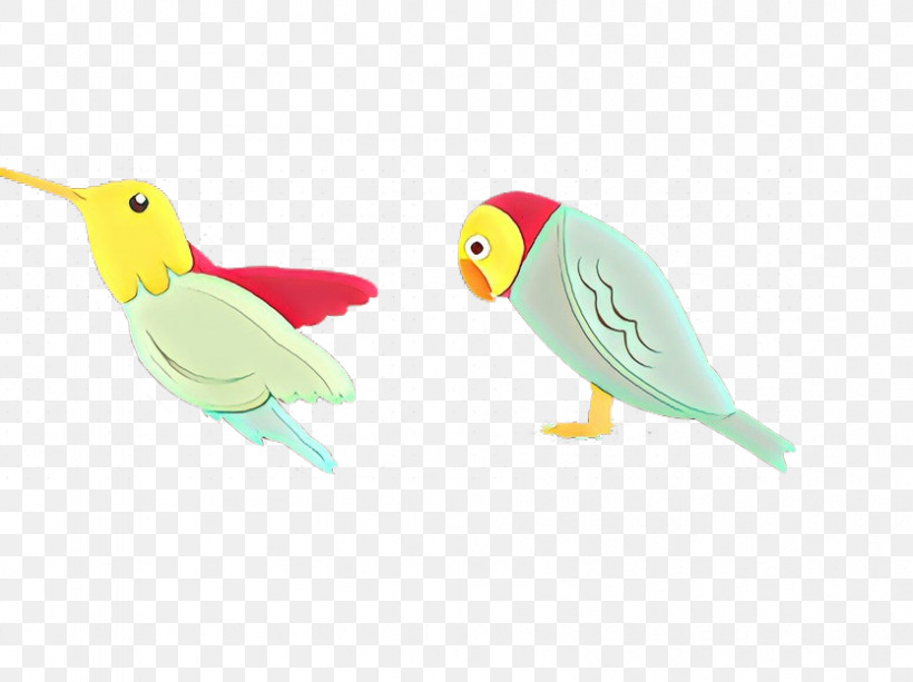 Feather, PNG, 834x624px, Bird, Animal Figure, Beak, Budgie, Feather Download Free