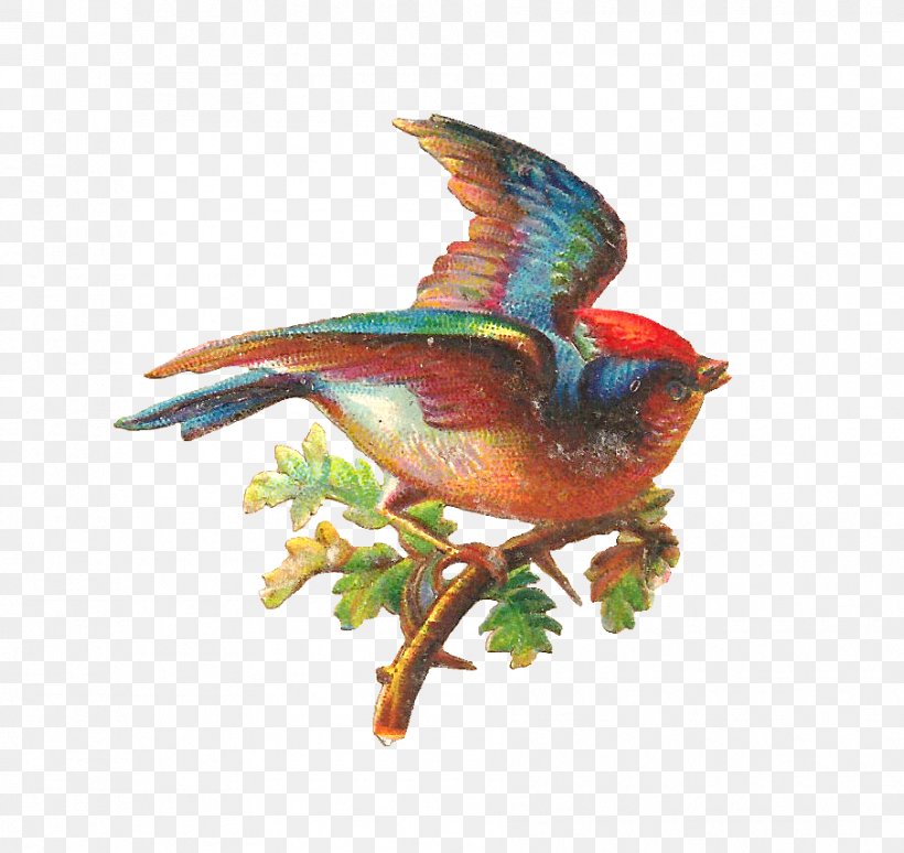 Bird Oak Clip Art, PNG, 905x855px, Bird, Acorn, Beak, Bird Nest, Branch Download Free