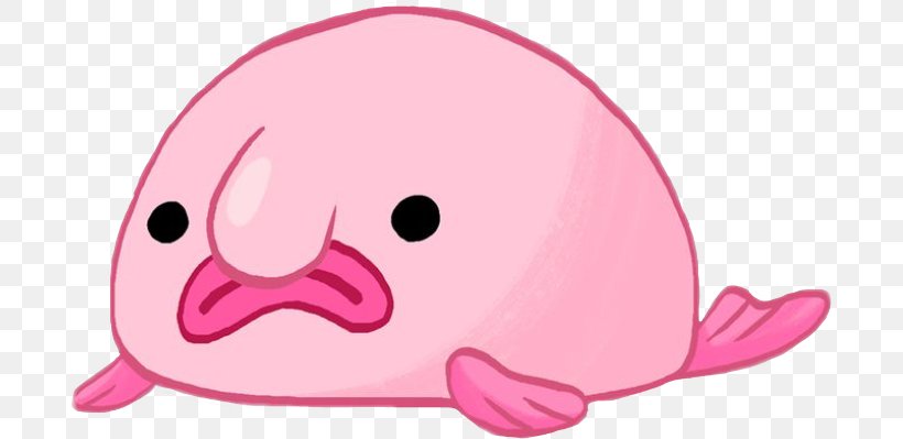 Blobfish Animal Drawing Cartoon YouTube, PNG, 691x399px, Watercolor, Cartoon, Flower, Frame, Heart Download Free