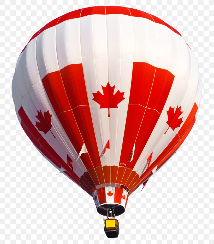 Hot Air Balloon Investment Share, PNG, 768x937px, Hot Air Balloon, Air, Air Sports, Aircraft, Balloon Download Free