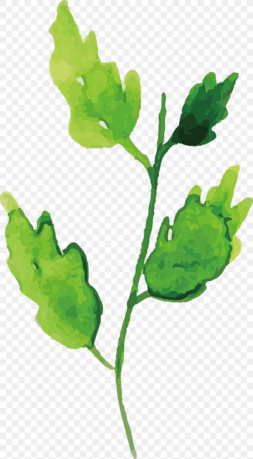 Leaf Plant Stem Leaf Vegetable Branch Paperplant, PNG, 1656x3000px, Watercolor Autumn, Branch, Clover, Dandelion, Herbaceous Plant Download Free