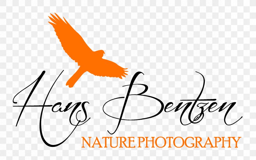 Wildlife Photography Nature Photography Photographer Logo, PNG, 2362x1476px, Photography, Area, Art, Artwork, Beak Download Free