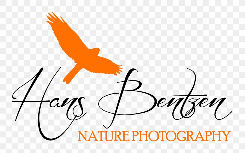 Wildlife Photography Nature Photography Photographer Logo Png 2362x1476px Photography Area Art Artwork Beak Download Free