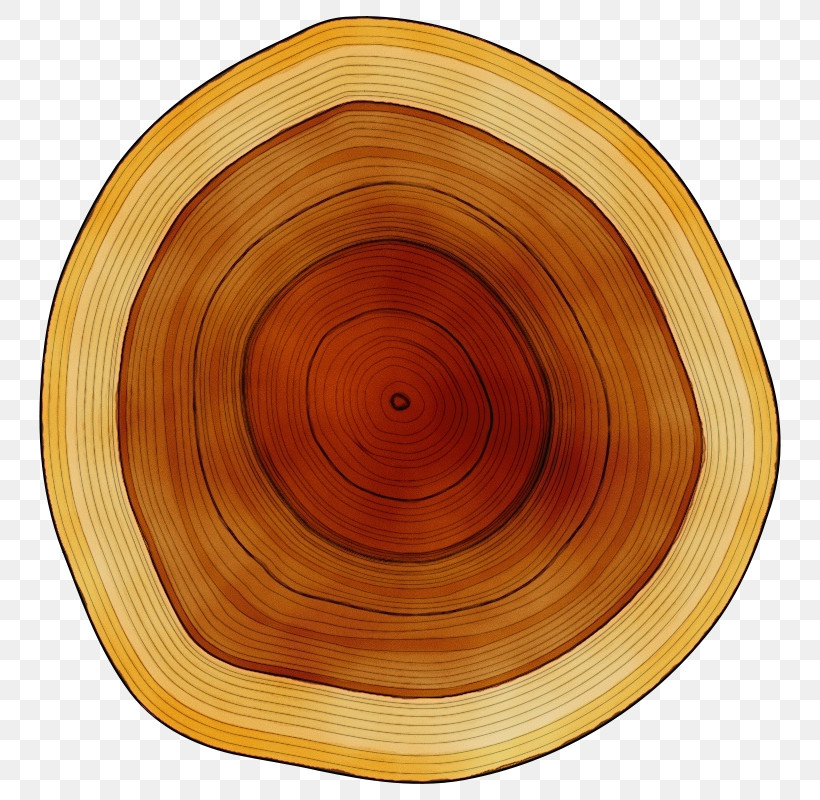 Wood /m/083vt Circle Varnish Tableware, PNG, 800x800px, Watercolor, Analytic Trigonometry And Conic Sections, Circle, M083vt, Mathematics Download Free