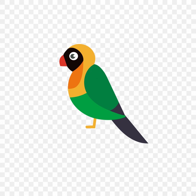 Bird Parrot, PNG, 2362x2362px, Bird, Animation, Beak, Cartoon, Fauna Download Free