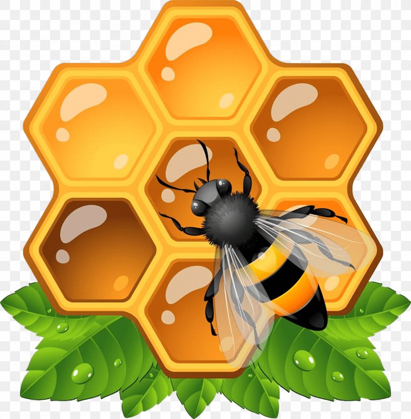 Honey Bee Insect Honeycomb Clip Art, PNG, 942x960px, Bee, Arthropod, Beehive, Beeswax, Butterfly Download Free