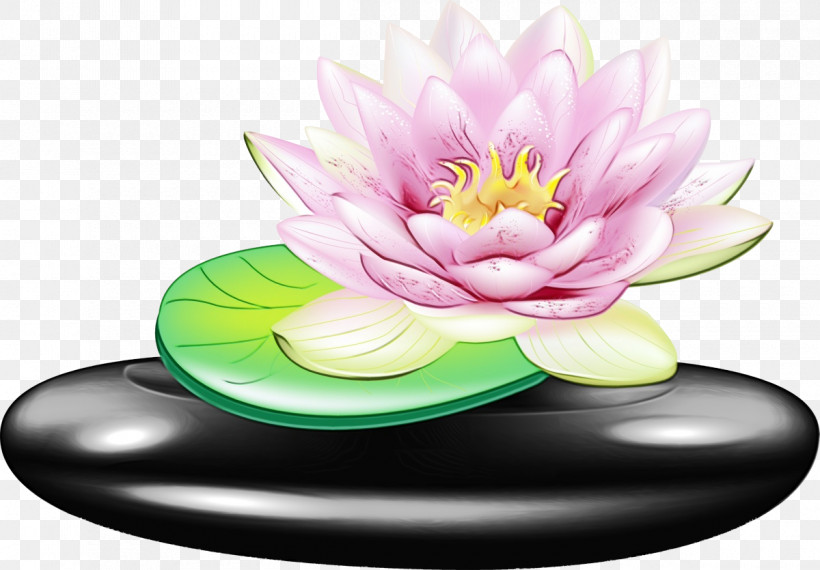 Nymphaea Nelumbo Petal, PNG, 1200x835px, Lotus Flower, Nymphaea Nelumbo, Paint, Petal, Watercolor Download Free