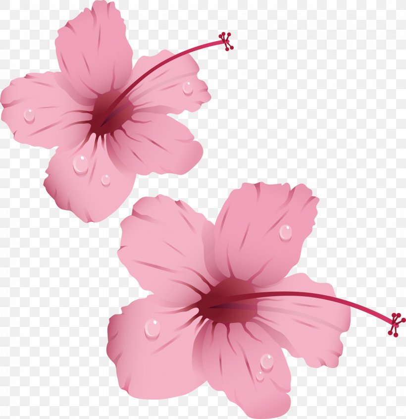 Pink Flowers Rose Clip Art, PNG, 2003x2068px, Flower, Blossom, Cherry Blossom, Color, Floral Design Download Free