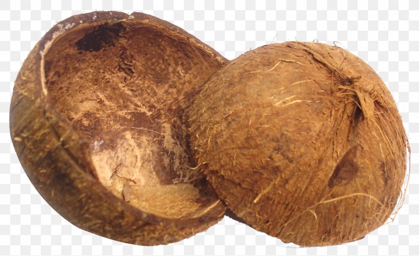 Coconut Sugar Manufacturing Fruit Coconut Oil, PNG, 1360x831px, Coimbatore, Bread, Charcoal, Coconut, Coconut Oil Download Free