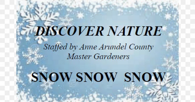 Water Tree Brand Snowflake Font, PNG, 1200x627px, Water, Banner, Blue, Brand, Label Download Free
