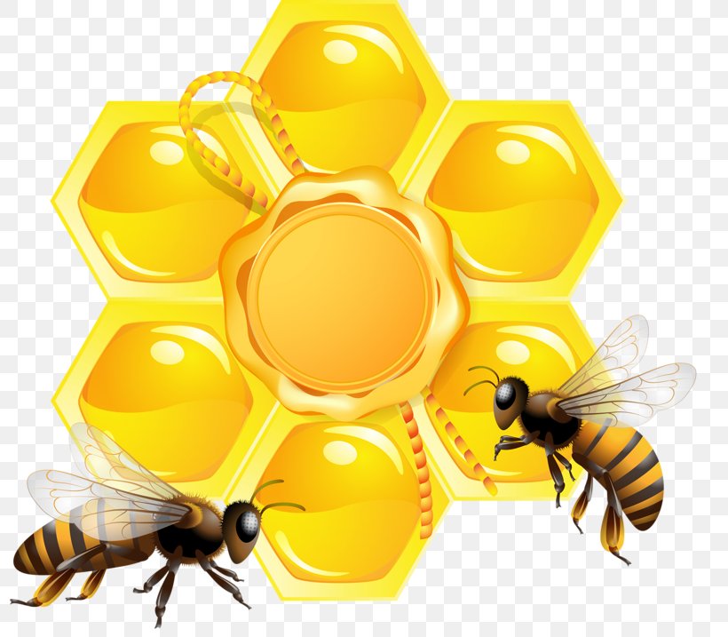 Bee Honeycomb, PNG, 800x717px, Bee, Arthropod, Beehive, Drawing, Honey Download Free