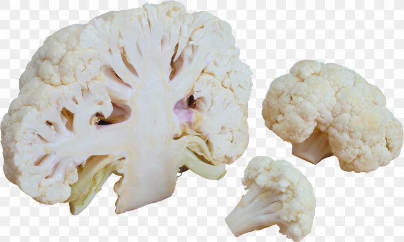 Cauliflower, PNG, 5265x3159px, Cauliflower, Broccoli, Broccoli Sprouts, Brussels Sprout, Cabbage Download Free