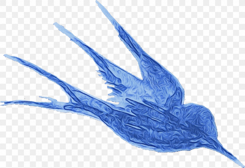 Feather, PNG, 895x614px, Watercolor, Beak, Biology, Birds, Feather Download Free