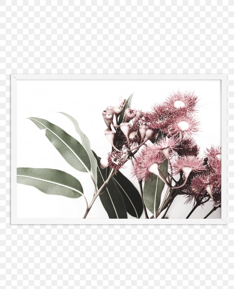 Gum Trees Floral Design Flower Blossom Printmaking, PNG, 2048x2527px, Gum Trees, Art, Blossom, Branch, Corymbia Ficifolia Download Free