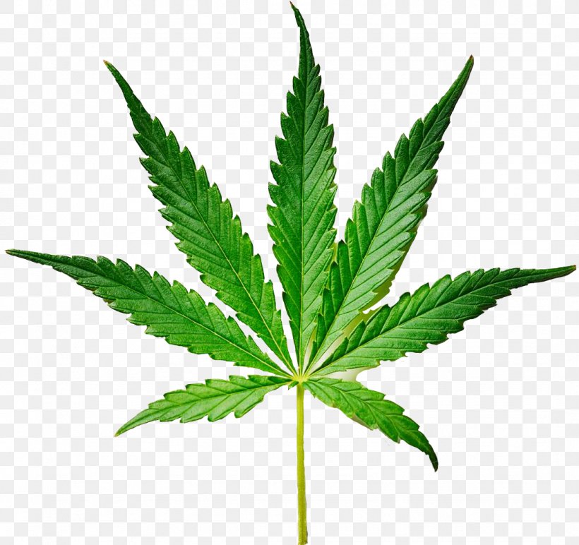 Weed The People Legality Of Cannabis Legalization Medical Cannabis, PNG, 1079x1016px, Weed The People, Cannabidiol, Cannabis, Cannabis Smoking, Drug Download Free