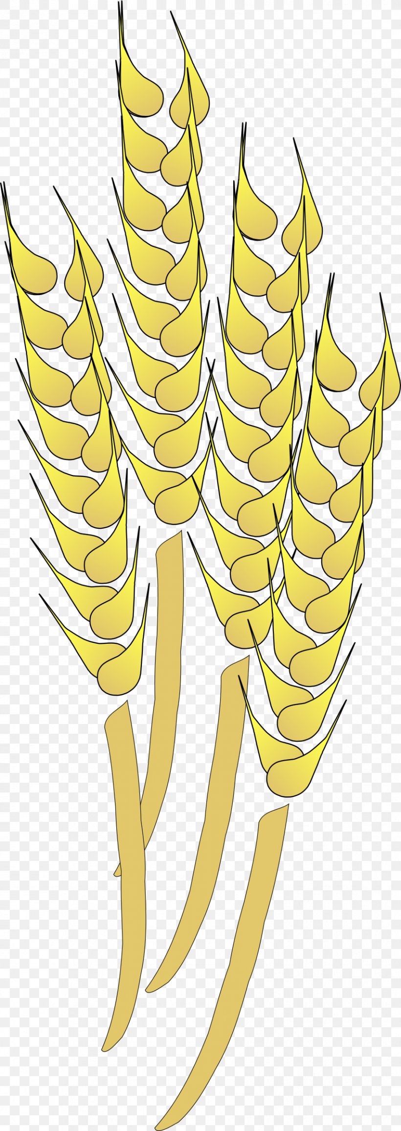Wheat Cereal Clip Art, PNG, 851x2400px, Wheat, Artwork, Cereal, Claw, Commodity Download Free