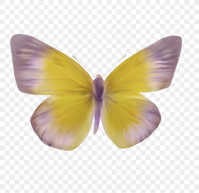 Butterfly Moth Clip Art, PNG, 1280x1242px, Butterfly, Animal, Butterflies And Moths, Flower, Gratis Download Free