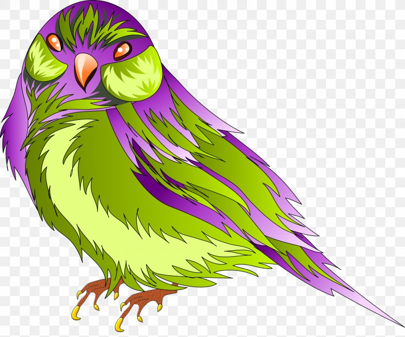 Owl Feather Bird Beak Parakeet, PNG, 1500x1251px, Owl, Art, Beak, Bird, Bird Of Prey Download Free