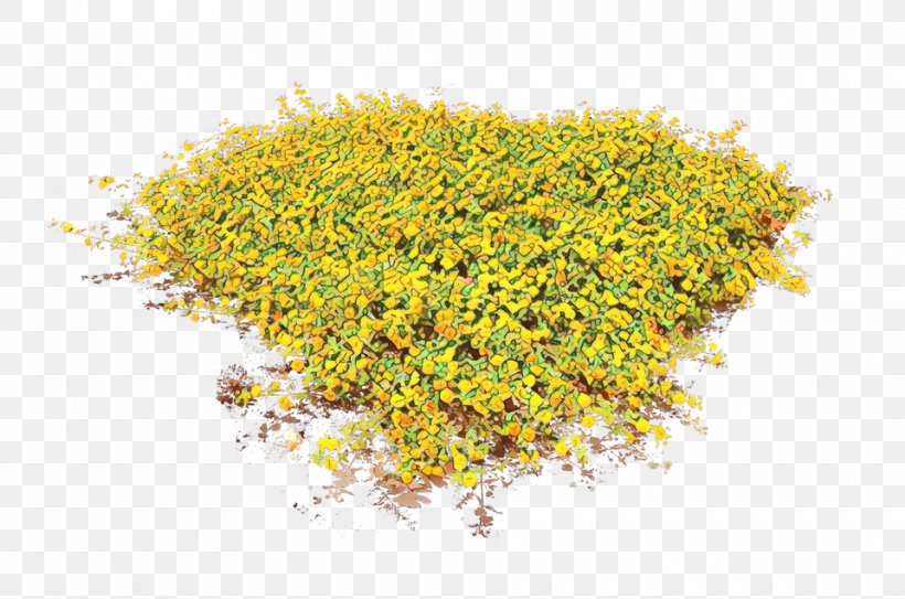Yellow Plant Flower Pollen Perennial Plant, PNG, 960x636px, Cartoon, Flower, Perennial Plant, Plant, Pollen Download Free