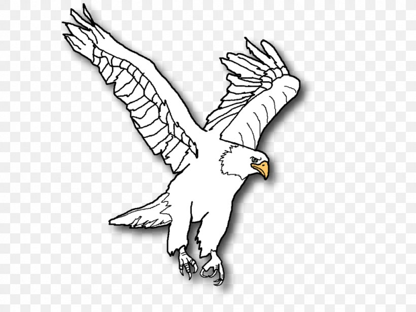 Bald Eagle Line Art Clip Art, PNG, 1024x768px, Eagle, Animal, Animal Figure, Art, Artwork Download Free