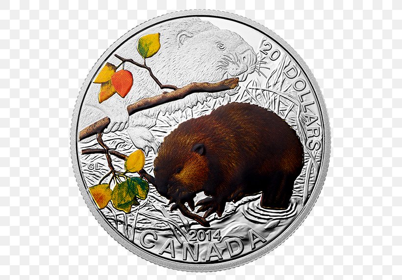 Beaver Silver Coin Canada Silver Coin, PNG, 570x570px, Beaver, Bullion, Bullion Coin, Canada, Carnivoran Download Free