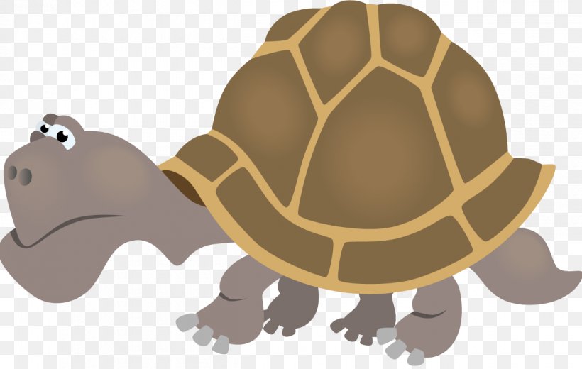 Turtle Collective Noun Child Self-control, PNG, 1250x793px, Turtle, Actividad, Animal, Child, Childhood Download Free