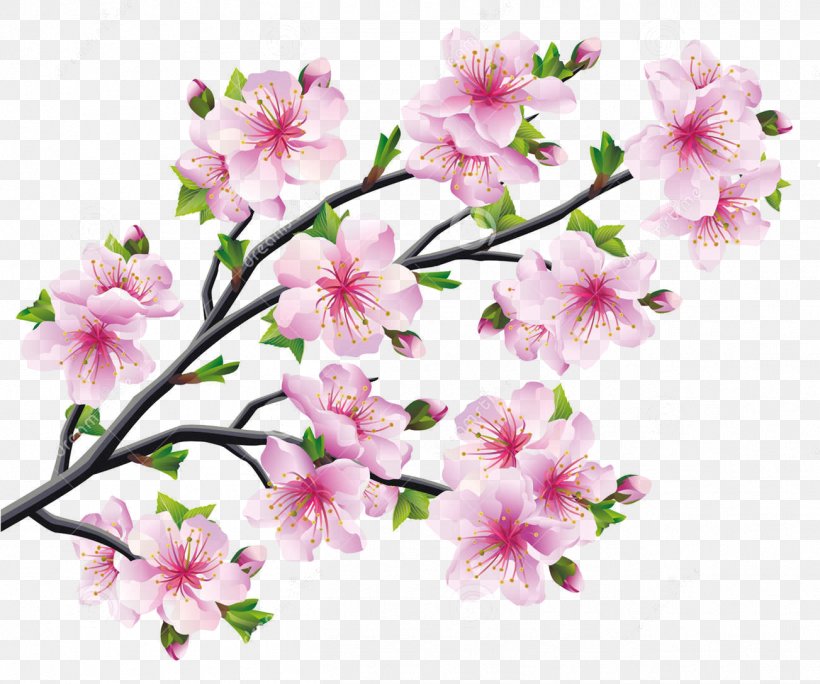 Cherry Blossom Drawing Tree, PNG, 1303x1088px, Cherry Blossom, Azalea, Blossom, Branch, Cherry Download Free