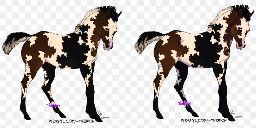 Foal Mustang Stallion Colt Mare, PNG, 2000x1000px, Foal, Animal, Bridle, Colt, Halter Download Free