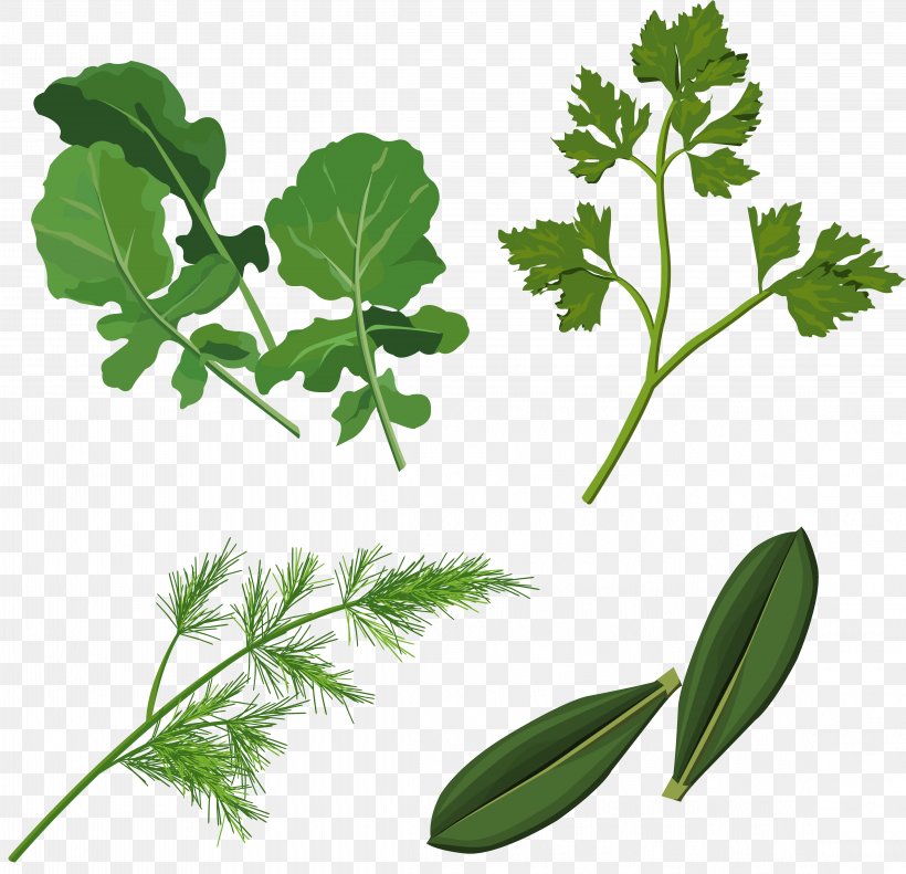 Herb Clip Art, PNG, 4561x4400px, Herb, Basil, Branch, Herbal, Herbalism Download Free