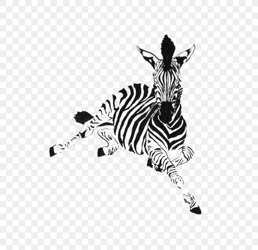 Zebra Horse Drawing Ink Animal, PNG, 570x796px, Zebra, Animal, Art, Black, Black And White Download Free
