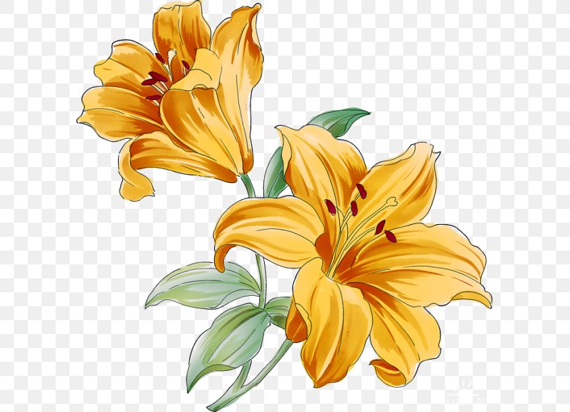Floral Design Cut Flowers Petal Flower Bouquet, PNG, 600x592px, Floral Design, Chrysanthemum, Cut Flowers, Daisy Family, Daylily Download Free