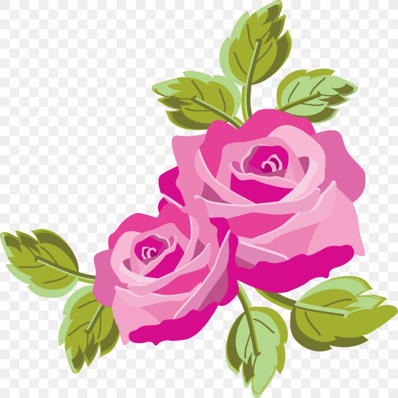 Garden Roses Cabbage Rose Clip Art, PNG, 1136x1136px, Garden Roses, Cabbage Rose, Color, Cut Flowers, Flora Download Free