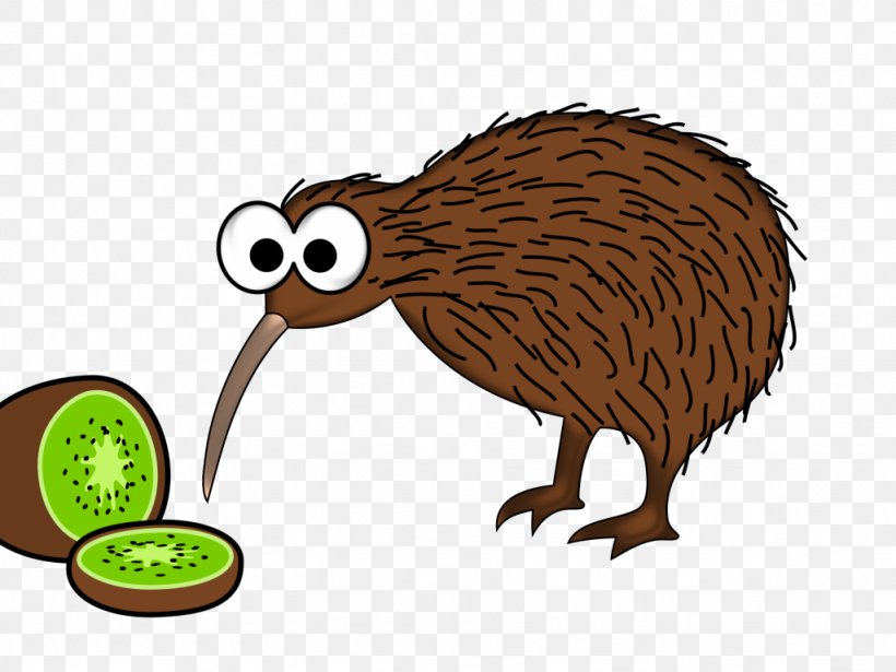 The New Zealand Kiwi Clip Art Bird Vector Graphics, PNG, 1024x768px, New Zealand, Animal Figure, Beak, Beaver, Bird Download Free