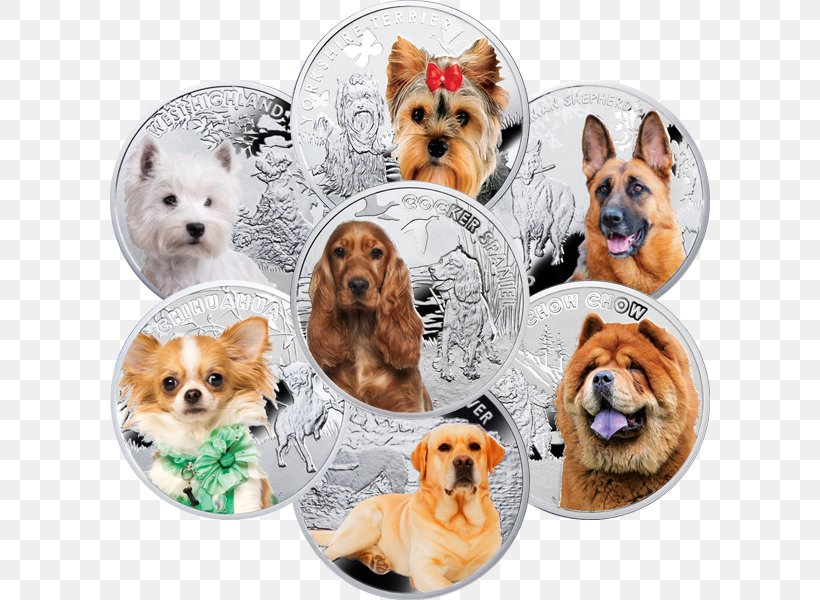 Yorkshire Terrier Dog Breed Man's Best Friend Companion Dog Proof Coinage, PNG, 600x600px, Yorkshire Terrier, Breed, Breed Group Dog, Carnivoran, Coin Download Free