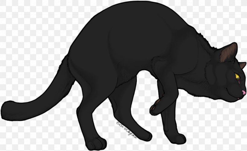 Black Cat Kitten Whiskers Domestic Short-haired Cat, PNG, 1024x628px, Black Cat, Animal, Animal Figure, Black, Canidae Download Free