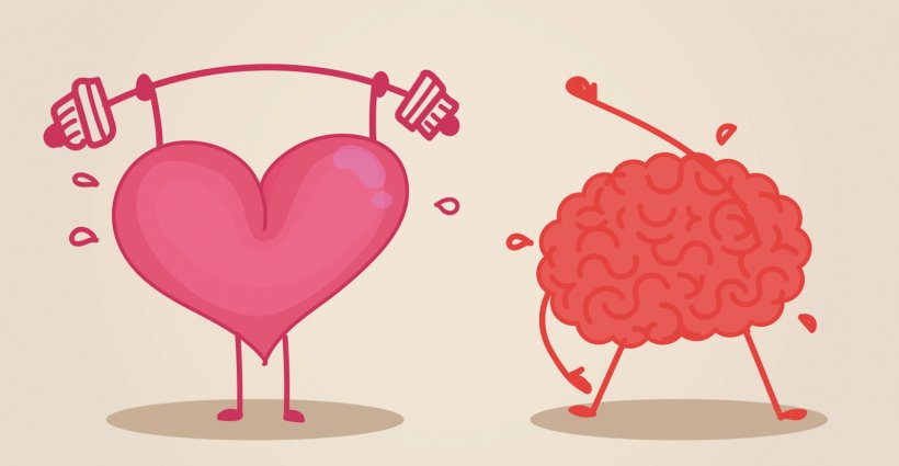 Brain Heart Physical Exercise Cognitive Training Clip Art, PNG, 1600x830px,  Watercolor, Cartoon, Flower, Frame, Heart Download