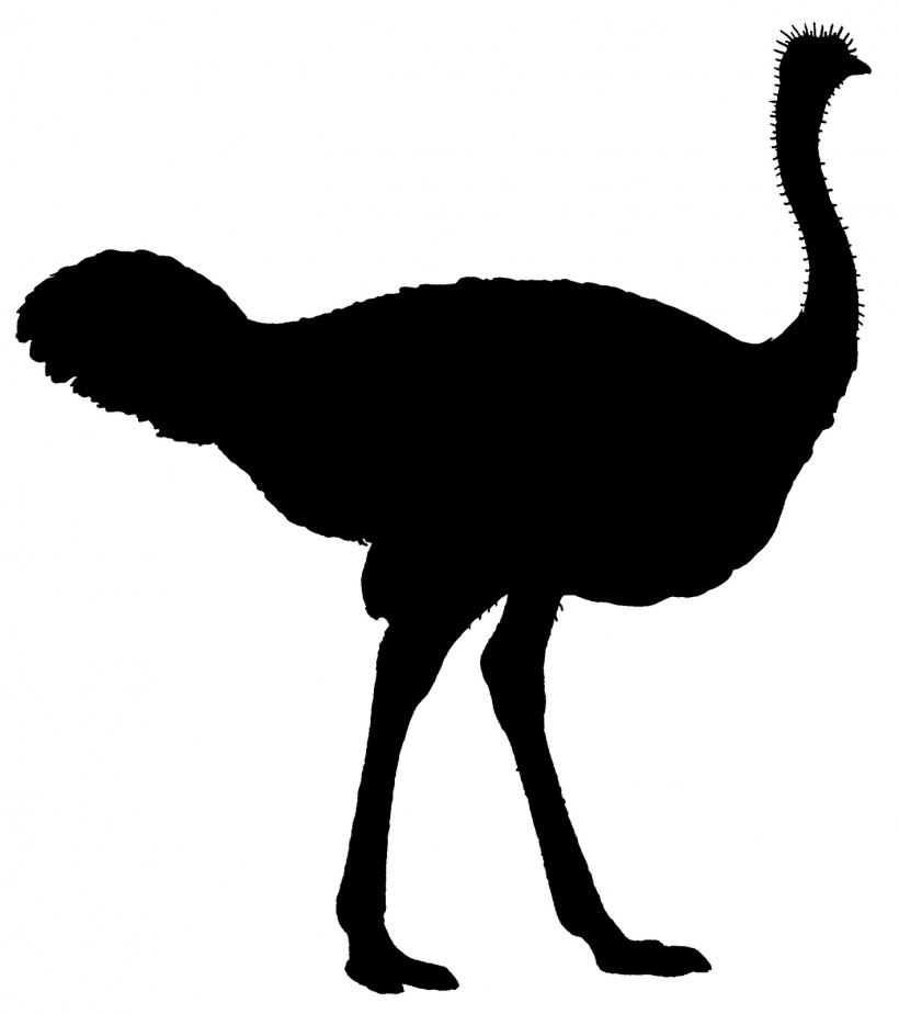 Common Ostrich Flightless Bird Silhouette Clip Art, PNG, 1419x1600px, Common Ostrich, Animal, Beak, Bird, Black And White Download Free