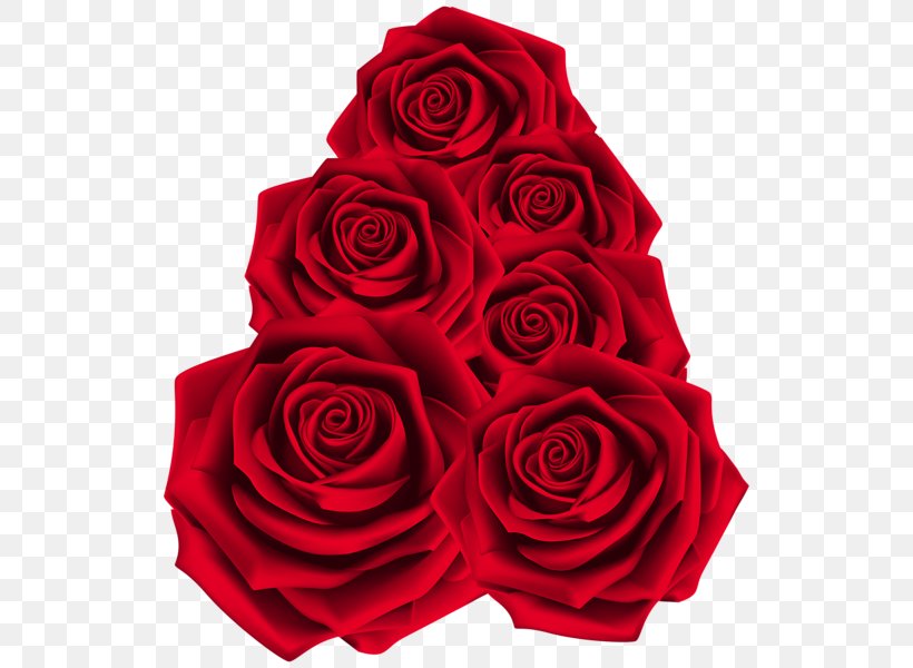 Garden Roses Raster Graphics, PNG, 536x600px, Garden Roses, Cut Flowers, Floral Design, Floristry, Flower Download Free
