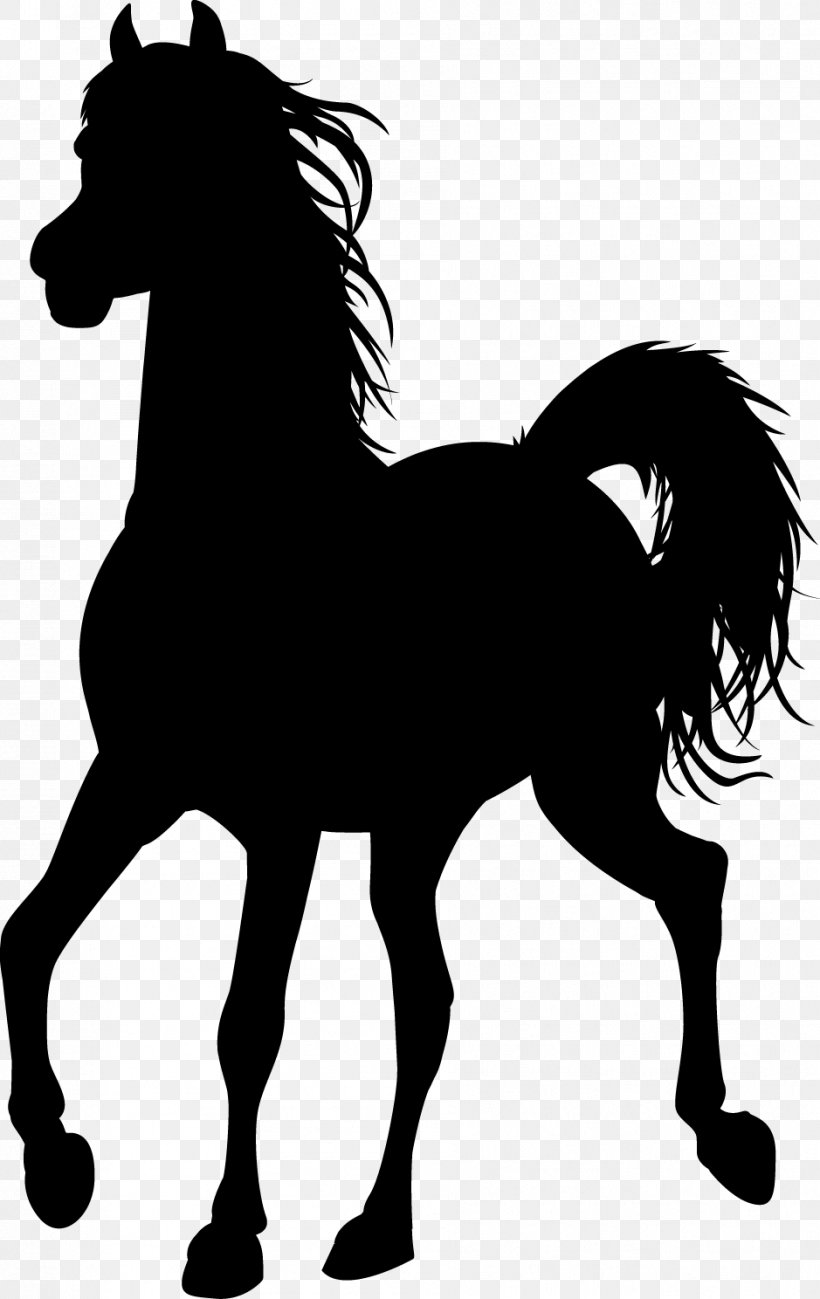 Mustang Pony Foal Stallion Black & White, PNG, 939x1488px, Mustang, Animal Figure, Black White M, Blackandwhite, Bridle Download Free