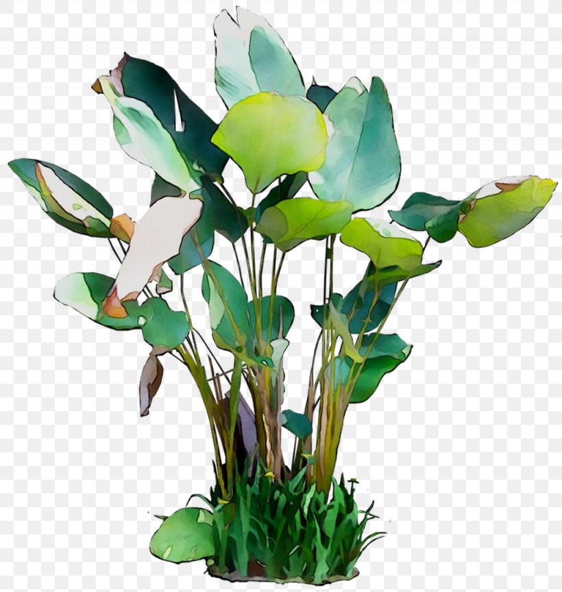 Floral Design Cut Flowers Leaf Plant Stem, PNG, 1025x1081px, Floral Design, Alismatales, Anthurium, Aquarium Decor, Aquatic Plant Download Free