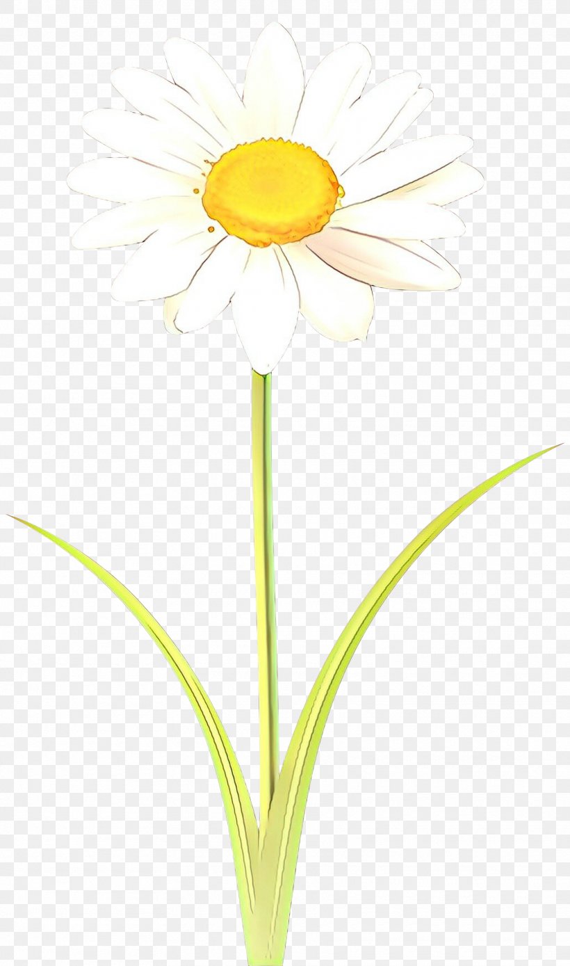 Flowers Background, PNG, 1770x3000px, Oxeye Daisy, Artificial Flower, Camomile, Chamaemelum Nobile, Chamomile Download Free