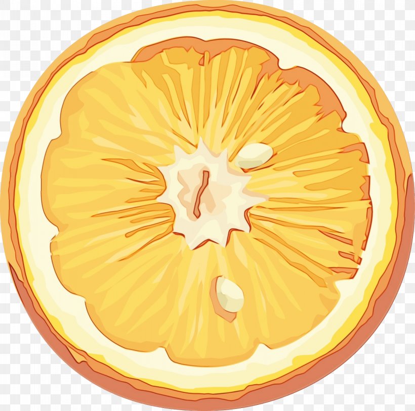 Orange, PNG, 1365x1355px, Watercolor, Citrus, Food, Fruit, Grapefruit Download Free