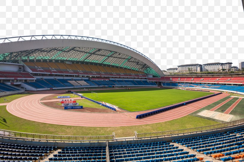Football Pitch Soccer-specific Stadium Lawn, PNG, 1200x800px, Football Pitch, Arena, Baseball Park, Football, Lawn Download Free