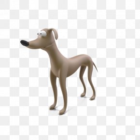 Italian Greyhound Whippet Sloughi Saluki Dog Breed Png